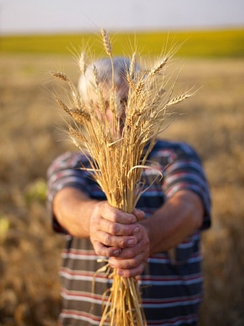 penhor rural